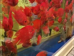 -骏莱海鲜鱼港(五角场店)
