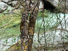 -青峰峡国家森林公园