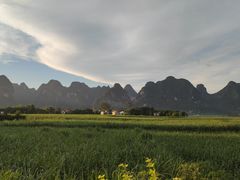 -明仕田园
