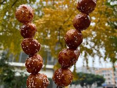 -邓记新一代糖油果子(四川煤管局供销公司职工宿舍店)