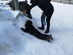 -沈阳奥体冰雪嘉年华