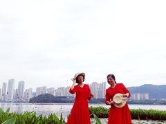 -梅溪湖城市岛