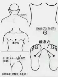 -香薇妮丝女子减肥院