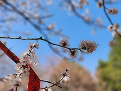 -隆兴寺