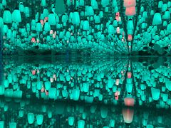 -天空之城蹦床攀岩运动馆·团建拓展·亲子游乐·生日派对(合肥店)