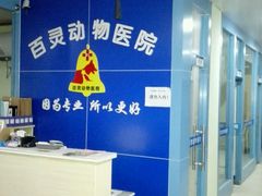 -百灵动物医院