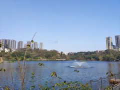 -重庆彩云湖湿地公园