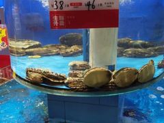 水产区-一品滇香·云南菜(公益西桥店)
