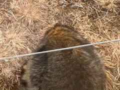 -秦皇岛野生动物园