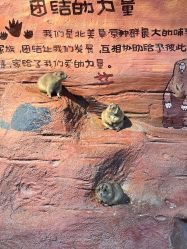 点击看大图 -奇幻萌宠部落(映月湖环宇城店)