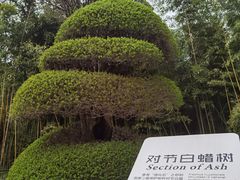 -苏州河梦清园环保主题公园