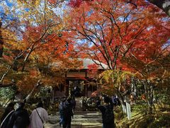 -常寂光寺