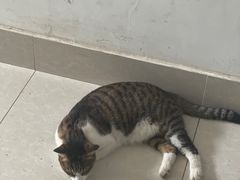 -極屋鮨牛 · 烧肉酒场(时代C馆店)