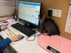 -瑞派康怡24h宠物医院·犬猫医疗中心·微创绝育(瑞景分院)