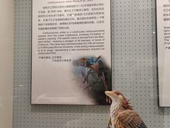 -辽宁古生物博物馆