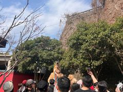 -杭州宋城