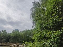 -城市运动公园(未央区)