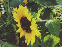 -中南财经政法大学(首义校区)