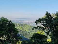 -惠山国家森林公园