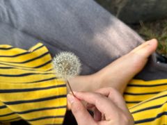 -郑远元专业修脚房·按摩·肉刺·灰指甲(天润城店)