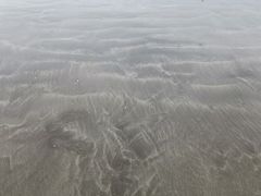 -台山黑沙湾海浴场