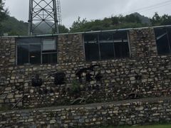 -北京山里寒舍度假酒店