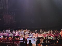 -广州长隆国际大马戏