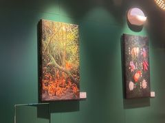 -烹然四季椰子鸡火锅(姚家园万象汇店)
