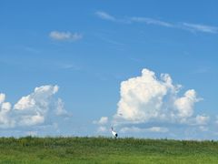 -黑龙江扎龙生态旅游区