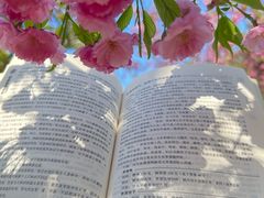 -南山植物园