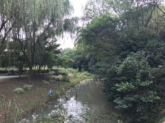 -昆山城市生态森林公园