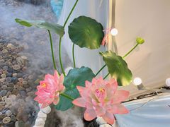 -天空花园餐吧·生日·团建(南山店)