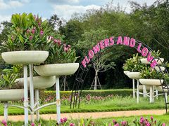 -东南花都花博园