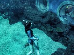 -石家庄海洋公园