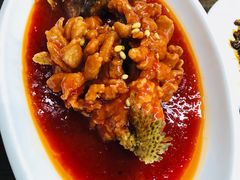 -协和菜馆(凤凰街店)