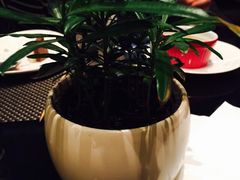 -阳光壹佰美爵酒店-绿洲西餐厅