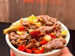 -湘辣辣鲜炒黄牛肉(顺义华联店)
