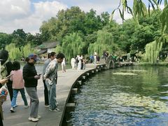 -西湖天地