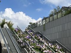 -石湖景区