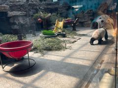 -石家庄市动物园