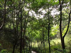 -桃花岭景区