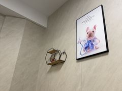 -半岛宠物医院24小时(西派城店)