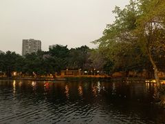 -荔湾湖公园