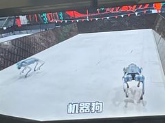 -极限PLAY运动娱乐新世界·团建派对潮玩休闲馆·室内蹦极高空游乐园