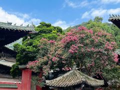 -报恩寺(平武县)