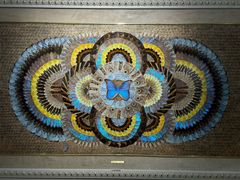 -上海昆虫博物馆