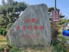 -洛阳古墓博物馆