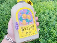 -奈雪的茶(赛格店)