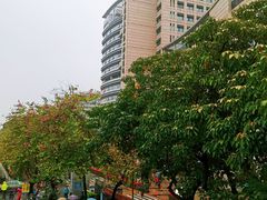 -广州中医药大学第一附属医院(总院)