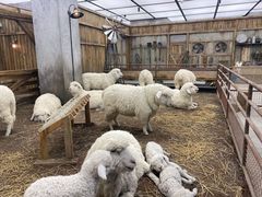 -OUR Bakery(SKP-S店)